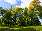 krolevets_park_2011_sm.jpg (12299 bytes)