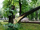 Буревій у Кролевці 10 червня 2012 року. Фоторепортаж з центральної частини міста