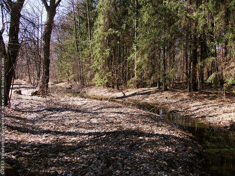 ���������, ������� �������, ������. ������ � ����� ���� �� �����, �� ��������� ���� �����