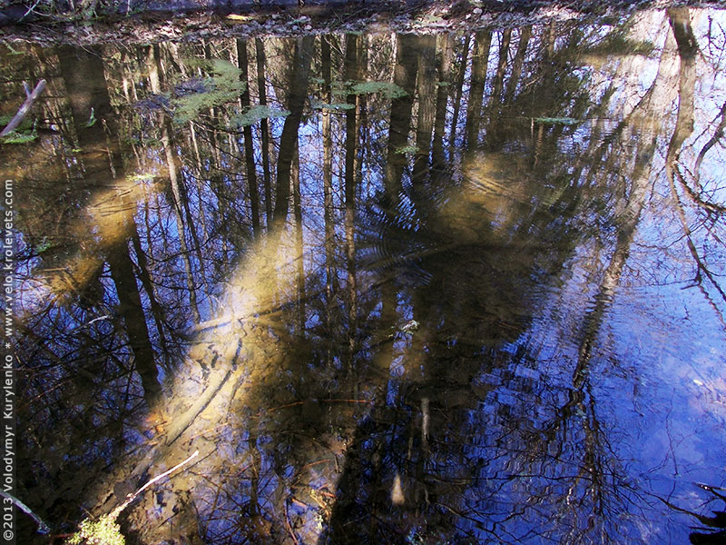 ���������, ������� �������, ������. ������ � ����� ���� �� �����, �� ��������� ���� �����