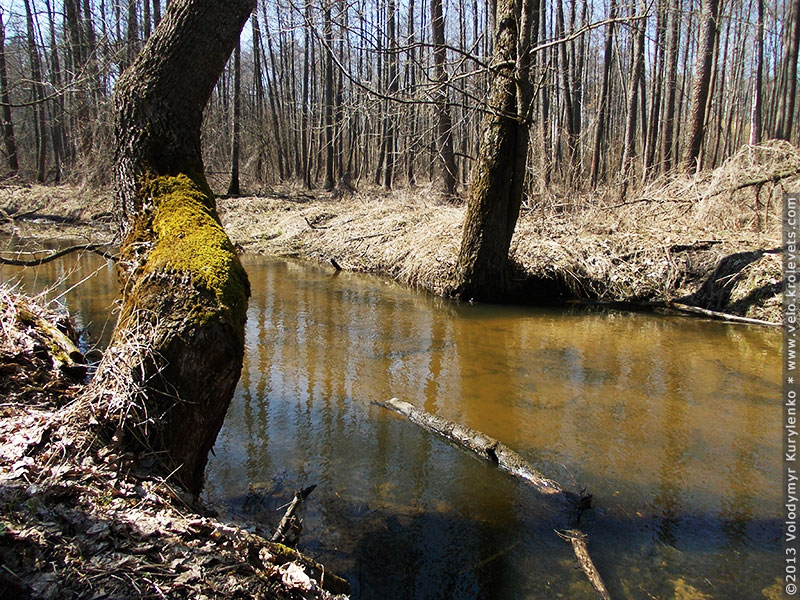 ���������, ������� �������, ������. ������ � ����� ���� �� �����, �� ��������� ���� �����