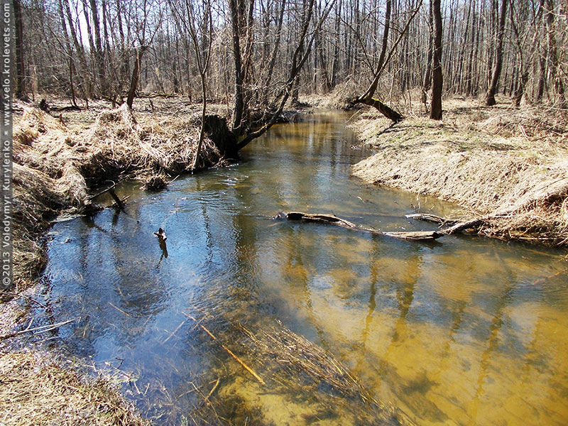 ���������, ������� �������, ������. ������ � ����� ���� �� �����, �� ��������� ���� �����