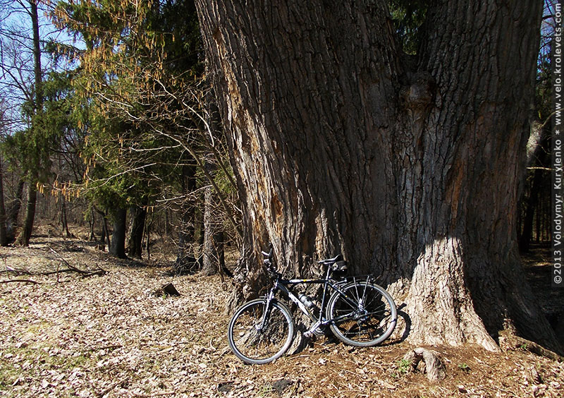 ���������, ������� �������, ������. ������ � ����� ���� �� �����, �� ��������� ���� �����