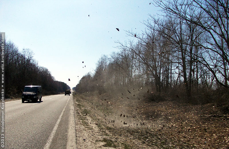 ���������, ������� �������, ������. ������ � ����� ���� �� �����, �� ��������� ���� �����