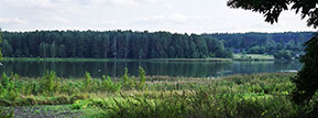 03.09.2017_dubovychi_stavok.jpg (15728 bytes)