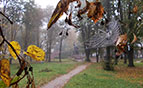 17.09.2013_park_tuman_autumn.jpg (6734 bytes)