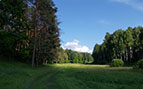 26.05_2013_kuch_hutir.jpg (4483 bytes)