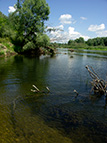 Seym_11.07.2011_Kamin_sm.jpg (13235 bytes)