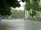 doshch_2011.jpg (6537 bytes)