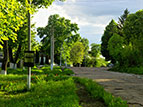 dubovytchi_golovna_vulytsya.jpg (11955 bytes)
