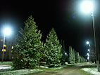 night.jpg  (5820 bytes)